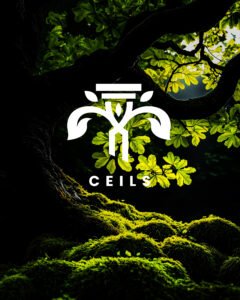 Picture of CEILS ID