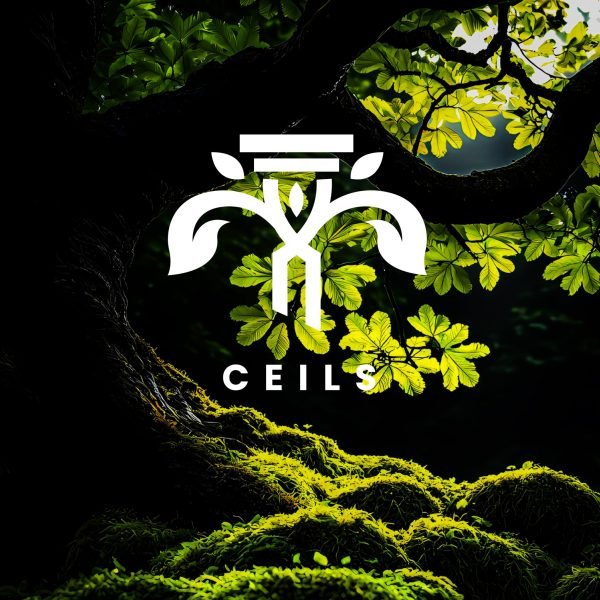LOGO CEILS-04